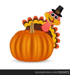 Turkey on Thanksgiving Day looks out from behind a pumpkin. Symbols Thanksgiving holiday, vector illustration. Turkey on Thanksgiving Day looks out from behind a pumpkin
