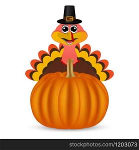 Turkey on Thanksgiving Day looks out from behind a pumpkin. Symbols Thanksgiving holiday, vector illustration. Turkey on Thanksgiving Day looks out from behind a pumpkin. Symb