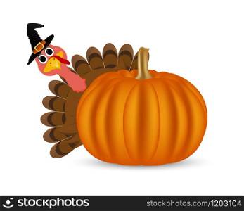 Turkey on Thanksgiving Day looks out from behind a pumpkin. Symbols Thanksgiving holiday, vector illustration. Turkey on Thanksgiving Day looks out from behind