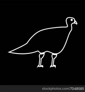 Turkeycock white icon .
