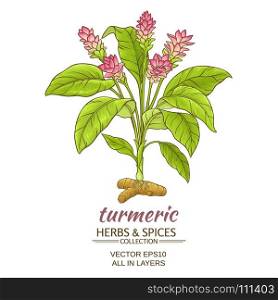 turmeric plant illustration. turmeric plant vector illustration on white background