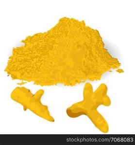 Turmeric roots and powder natural aromatic spice condiment vector illustration on a white background