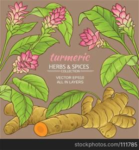 turmeric vector frame. turmeric plant vector frame on color background