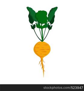 Turnip yellow healthy vegetarian vegetables vector icon. Salad raw leaf harvest farm cooking food. Garden isolated ingredient