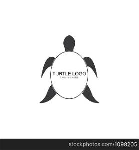 turtle animal cartoon icon image vector illustration design