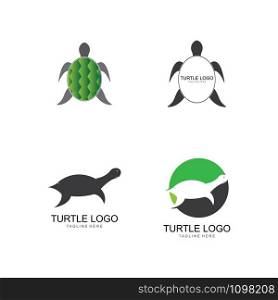 turtle animal cartoon icon image vector illustration design