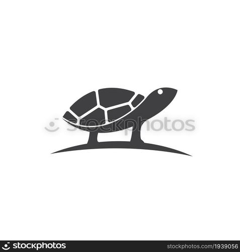 Turtle animal cartoon icon vector illustration