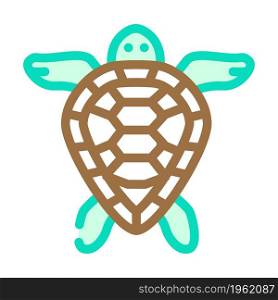 turtle aquatic animal color icon vector. turtle aquatic animal sign. isolated symbol illustration. turtle aquatic animal color icon vector illustration