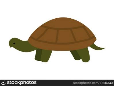 Turtle flat style vector. Wild animal with tortoiseshell. Fauna species. Slowness and wisdom symbol. For nature concept, children s books illustrating, printing materials. Isolated on white background. Turtle Vector Illustration in Flat Design. Turtle Vector Illustration in Flat Design