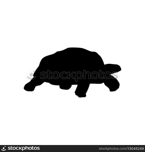 Turtle icon vector