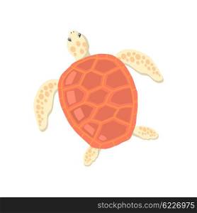 Turtle Isolated on White Background. Turtle isolated on white background design flat. Tortoise with a big red carapace. The head and fins are covered with turtles speckled pattern. Creature wildlife of wold world. Vector illustration