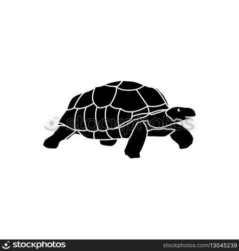 Turtle, tortoise icon vector