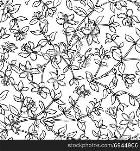tutsan seamless pattern. tutsan plant seamless pattern on white background