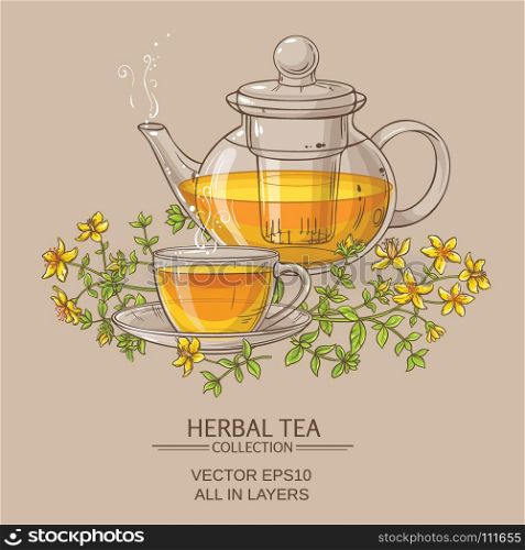 tutsan tea vector illustration. cup of tutsan tea and teapot vector background