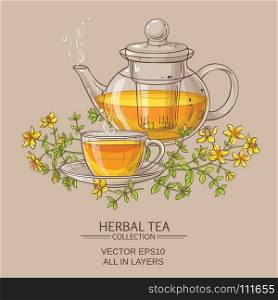 tutsan tea vector illustration. cup of tutsan tea and teapot vector background