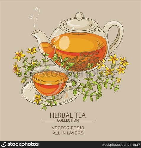 tutsan tea vector illustration. tutsan tea vector illustration on color background