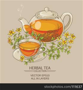 tutsan tea vector illustration. tutsan tea vector illustration on color background