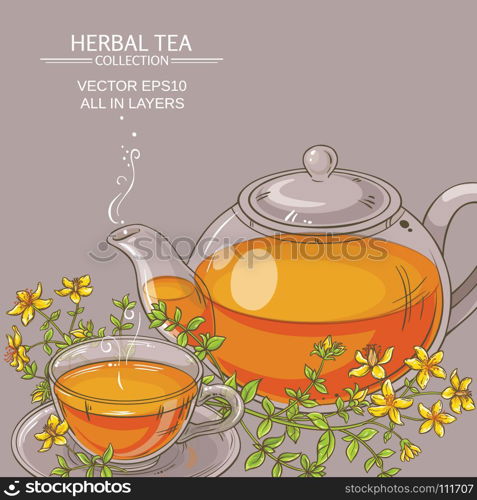 tutsan tea vector illustration. tutsan tea vector illustration on color background