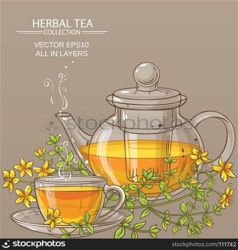 tutsan vector background. cup of tutsan tea and teapot vector background