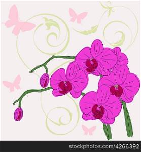 twig blossoming orchids on a background with butterflies