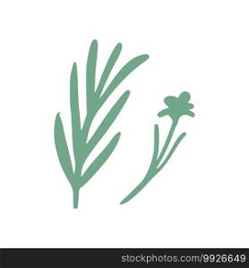 Twig rosemary and flower isolated on white background. Sketch botanical hand drawn. Doodle vector illustration.. Twig rosemary and flower isolated on white background. Sketch botanical hand drawn.