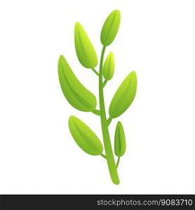 Twig sage icon cartoon vector. Leaf plant. Mint spice. Twig sage icon cartoon vector. Leaf plant
