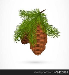 Twig with pine cones. Tree, conifer, decoration. Christmas concept. Can be used for greeting cards, posters, leaflets and brochure
