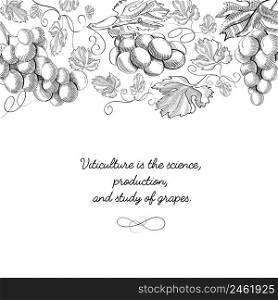 Twigs grapes background. Sketch. Hand drawing. Design concept. Vector Illustration, eps10, contains transparencies.. Twigs grapes background. Sketch. Hand drawing. Design concept