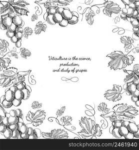 Twigs grapes background. Sketch. Hand drawing. Design concept. Vector Illustration, eps10, contains transparencies.. Twigs grapes background. Sketch. Hand drawing. Design concept