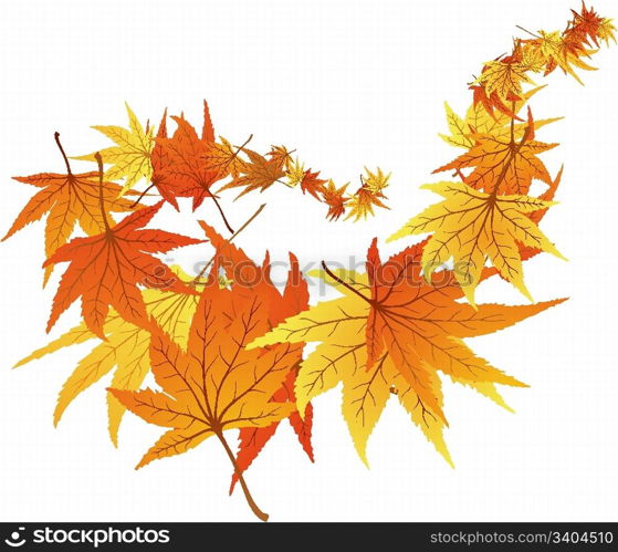 Twisted row of autumn maples leaves. Vector illustration.