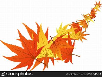 Twisted row of autumn maples leaves. Vector illustration.