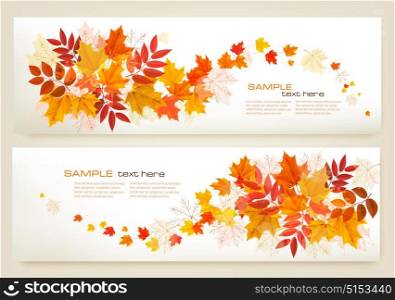 Two abstract autumn banners with colorful leaves Vector