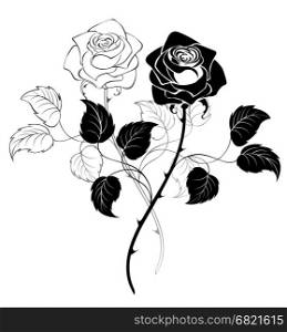 two artistically drawn black roses on a white background.&#xA;