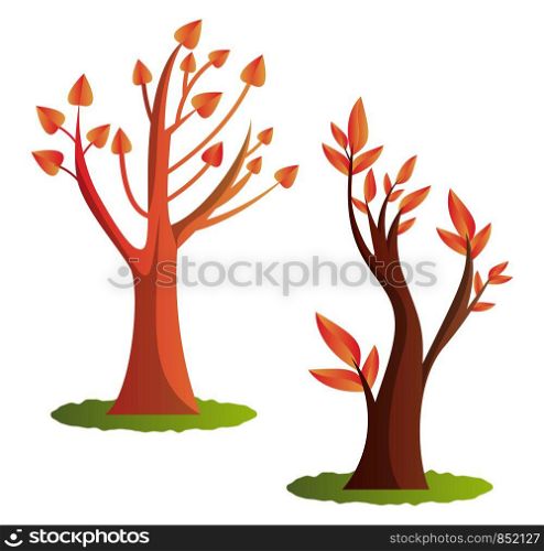 Two autumn tree vector illustration on white background