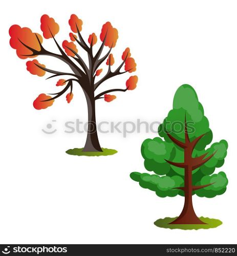 Two autumn tree vector illustration on white background