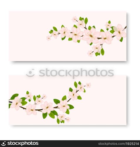 Two banners with fresh pink ornamental Sakura flowers or cherry blossom symbolic of spring.. two banners with pink ornamental Sakura flowers