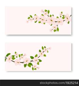 Two banners with fresh pink ornamental Sakura flowers or cherry blossom symbolic of spring.. two banners with pink ornamental Sakura flowers