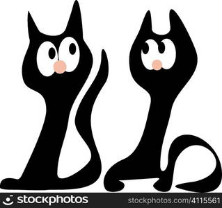 Two black cats