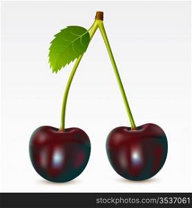 Two cherries on a white background