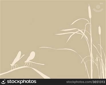 two dragonflies on brown background, vector illustration