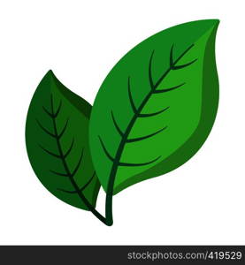 Two green leaves cartoon icon on a white background. Two green leaves cartoon icon