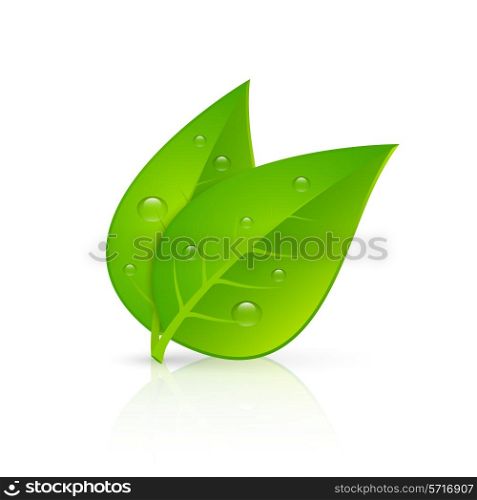 Two green leaves with fresh dew drops realistic image icon for pharmaceutical eco products emblem vector illustration