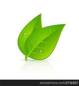 Two green leaves with fresh dew drops realistic image icon for pharmaceutical eco products emblem vector illustration