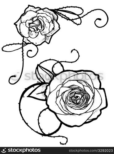 Two hand drawn roses.