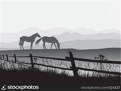 Two horses on meadow with fence