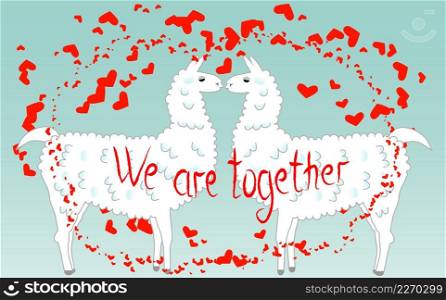 Two lovers kissing llamas surrounded by hearts. Love in the air, postcard to the day of Saint Valentine.. Two lovers, kissing llamas surrounded by hearts. Love is in the air. The inscription We are together, postcard, Valentine&rsquo;s day