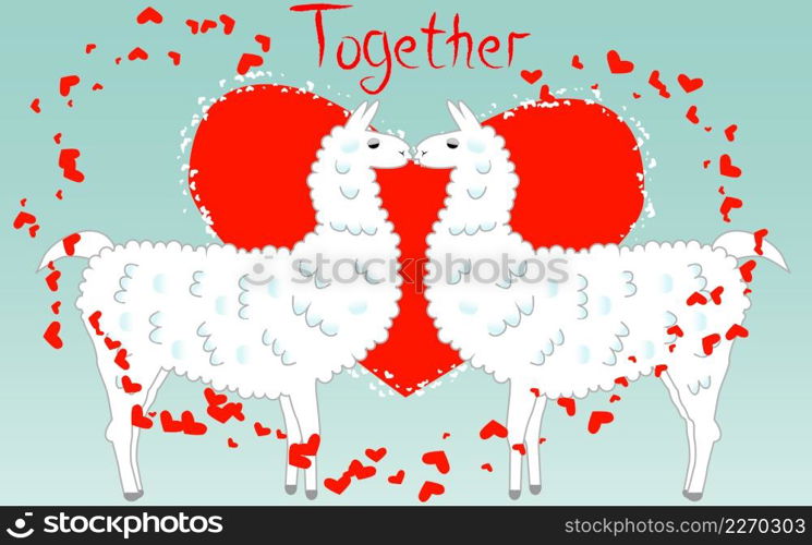 Two lovers kissing llamas surrounded by hearts. Love in the air, postcard to the day of Saint Valentine.. Two lovers, kissing llamas surrounded by hearts. Love is in the air. Valentine&rsquo;s day