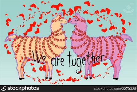 Two lovers kissing llamas surrounded by hearts. Love in the air, postcard to the day of Saint Valentine.. Two lovers, kissing llamas surrounded by hearts. Love is in the air. The inscription We are together, postcard, Valentine&rsquo;s day