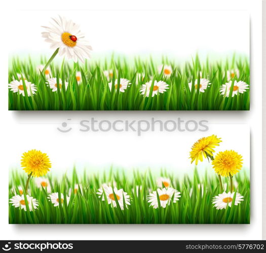 Two nature banners with colorful spring flowers with ladybug. Vector