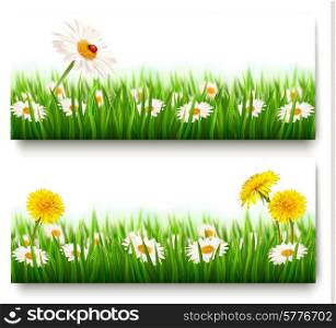 Two nature banners with colorful spring flowers with ladybug. Vector